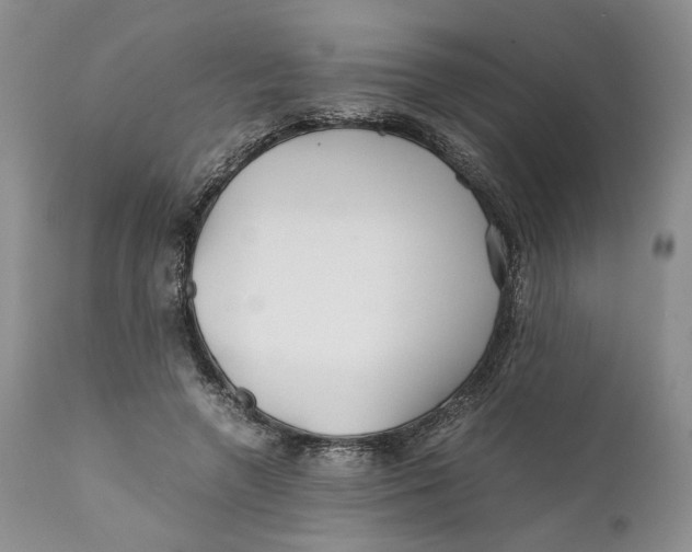 X0000110930546200907091523