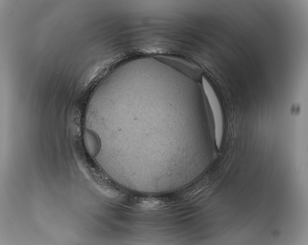 X0000110930547200907091523