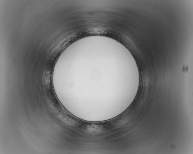 X0000110930549200907091523