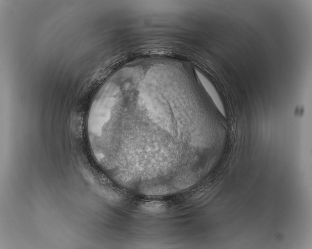 X0000110930551200907091523