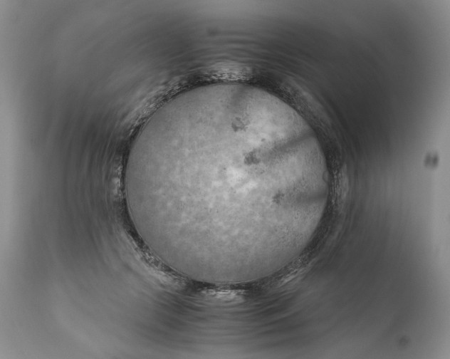 X0000110930553200907091523