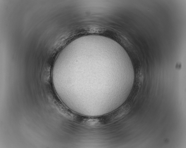 X0000110930554200907091523
