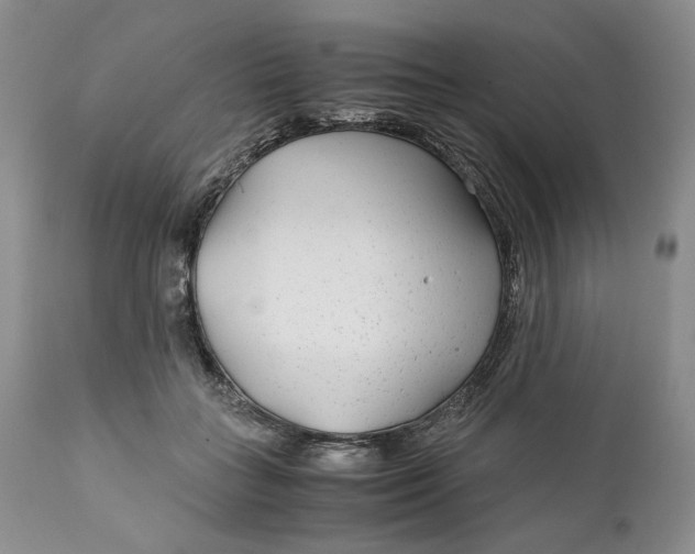 X0000110930555200907091523