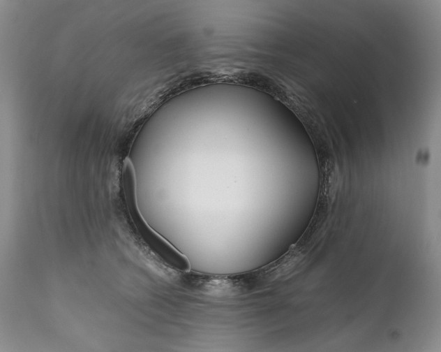 X0000110930562200907091523
