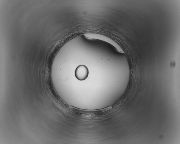 X0000110930564200907091523