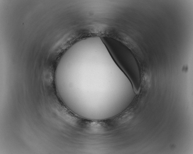 X0000110930566200907091523