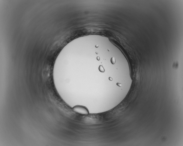 X0000110930567200907091523