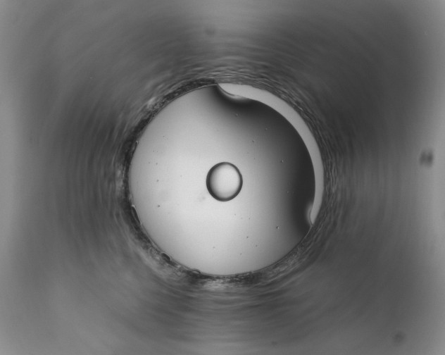 X0000110930568200907091523