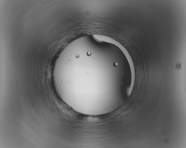 X0000110930570200907091523