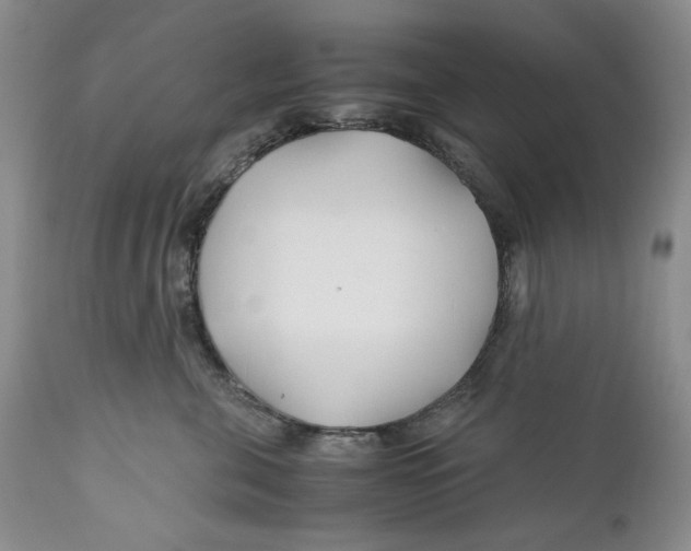 X0000110930571200907091523