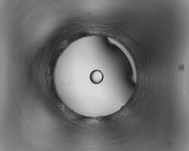 X0000110930572200907091523