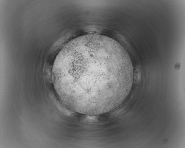 X0000110930573200907091523