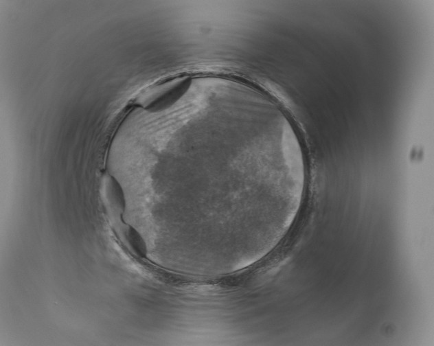 X0000110930577200907091523