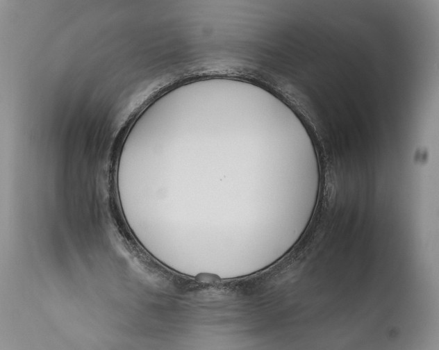 X0000110930578200907091523