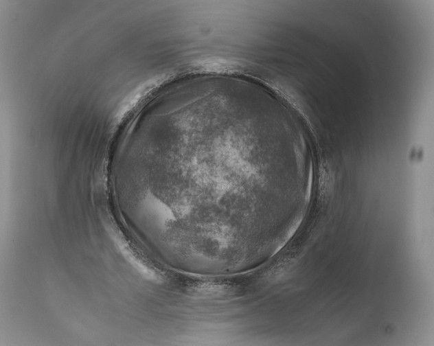X0000110930581200907091523