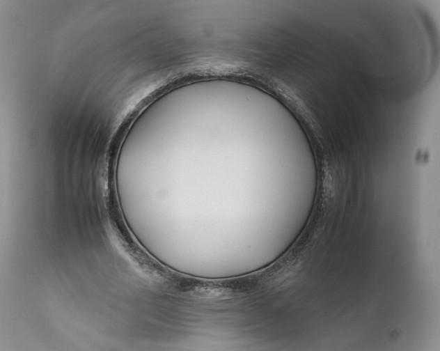 X0000110930582200907091523