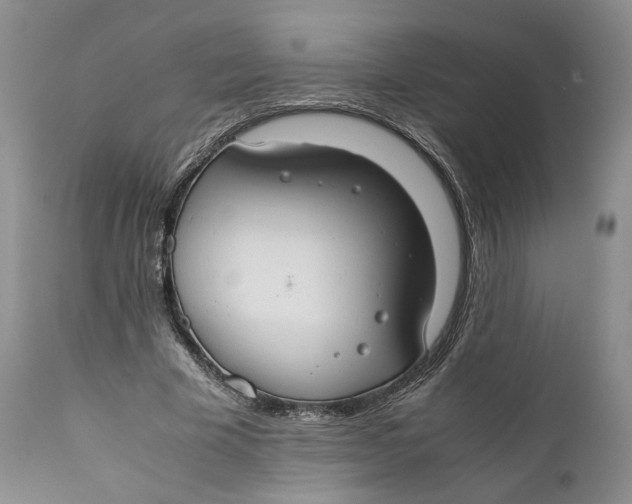 X0000110930585200907091523