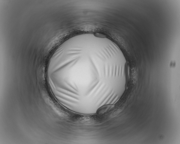 X0000110930589200907091523