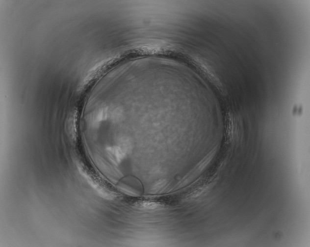X0000110930590200907091523