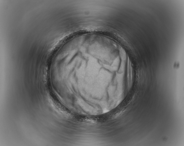 X0000110930592200907091522