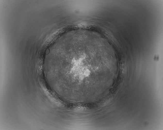 X0000110930593200907091522