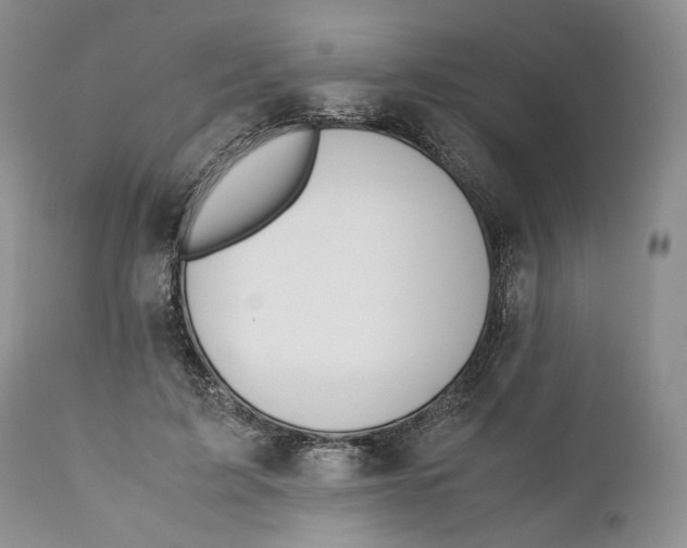 X0000110930595200907091522