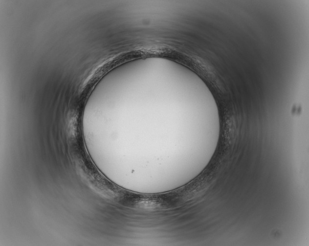 X0000110930596200907091522