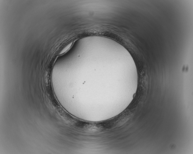 X0000110930597200907091522
