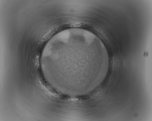 X0000110930598200907091522