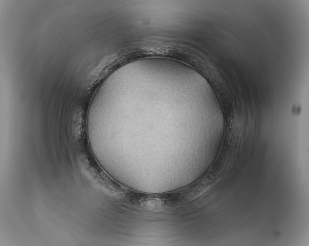 X0000110930600200907091522