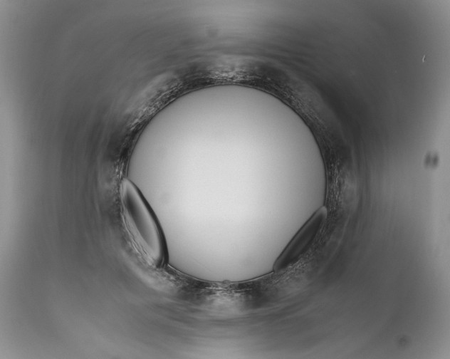 X0000110930601200907091522
