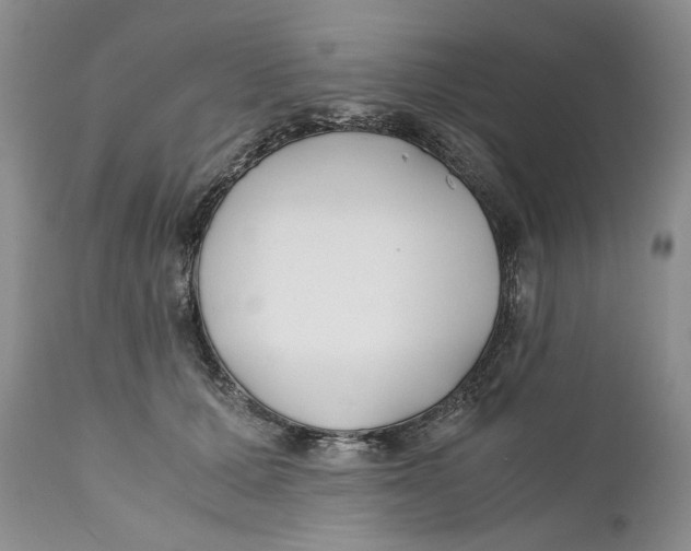X0000110930607200907091522