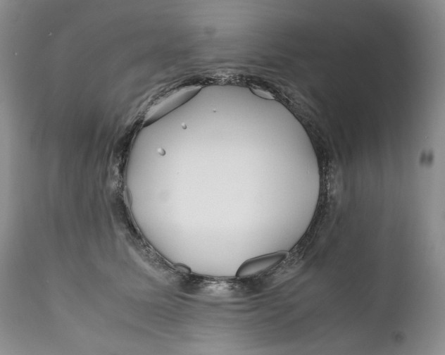 X0000110930611200907091522