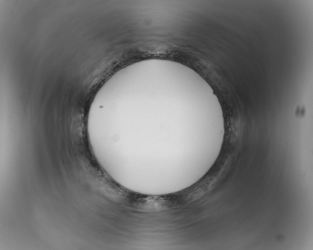 X0000110930612200907091522