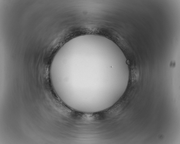 X0000110930613200907091522