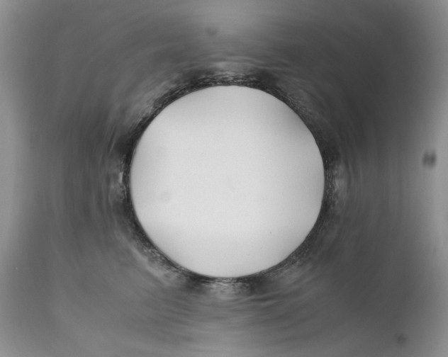 X0000110930615200907091522