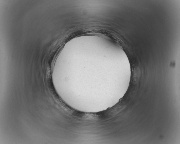 X0000110930617200907091522
