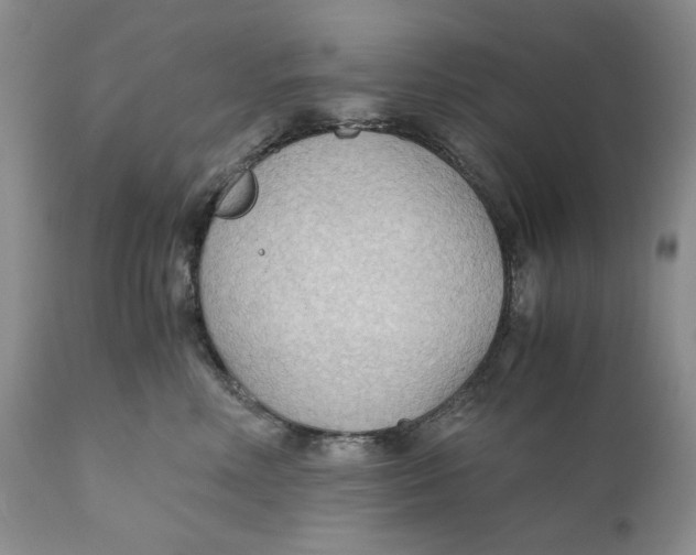 X0000110930618200907091522