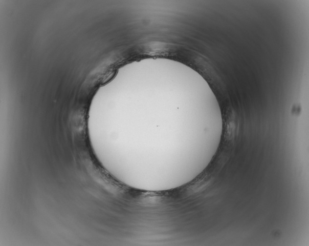 X0000110930620200907091522