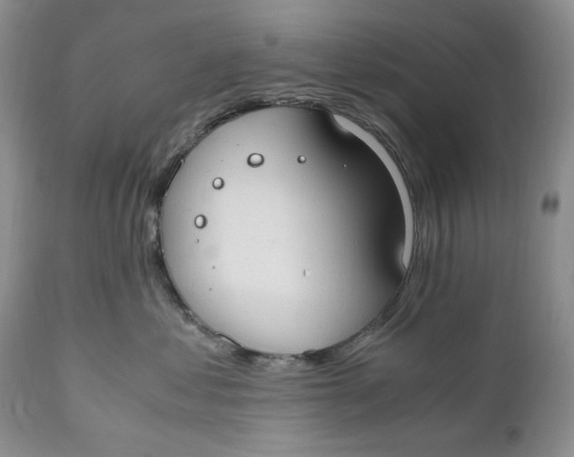 X0000110930621200907091522