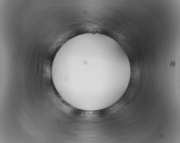 X0000110930622200907091522