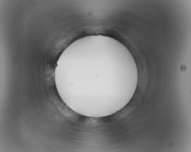 X0000110930624200907091522