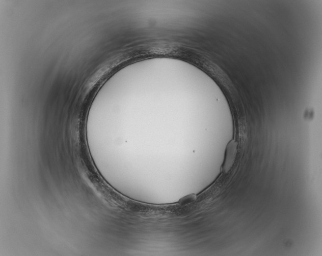 X0000110930626200907091521