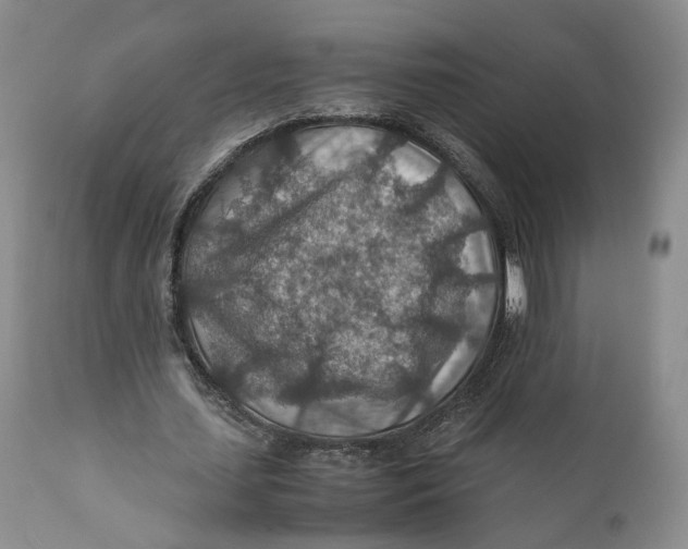 X0000110930627200907091521