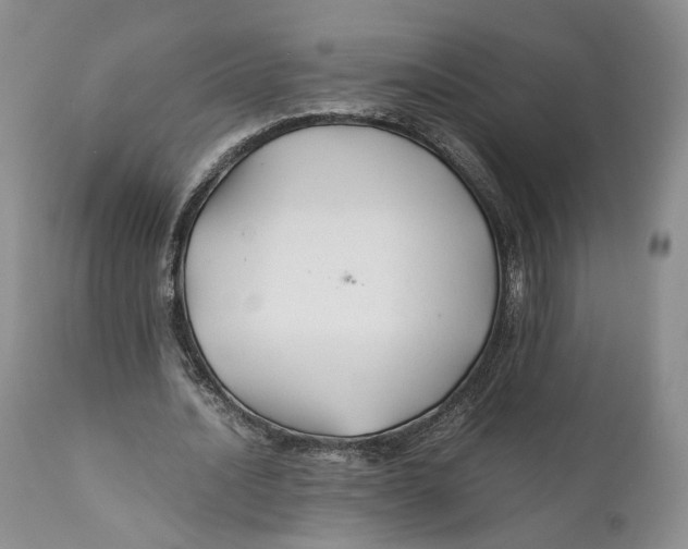 X0000110930628200907091521