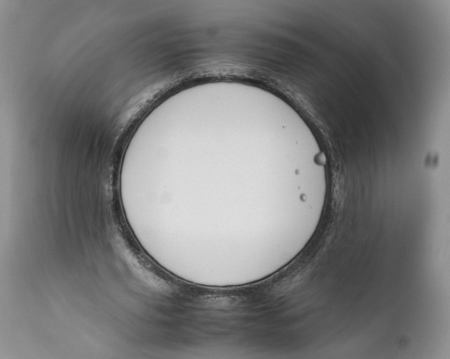 X0000110930629200907091521