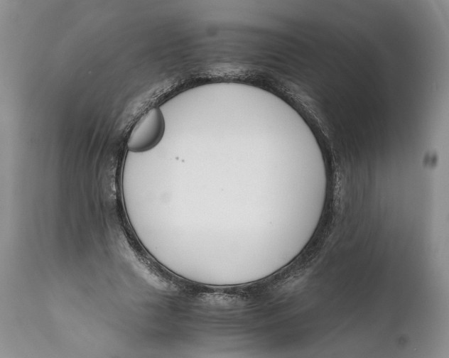 X0000110930633200907091521