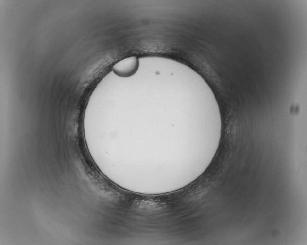 X0000110930635200907091521