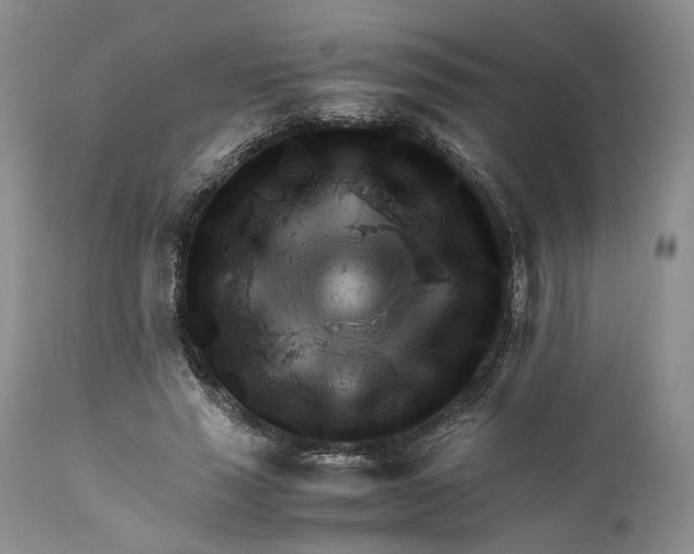 X0000110930637200907091521