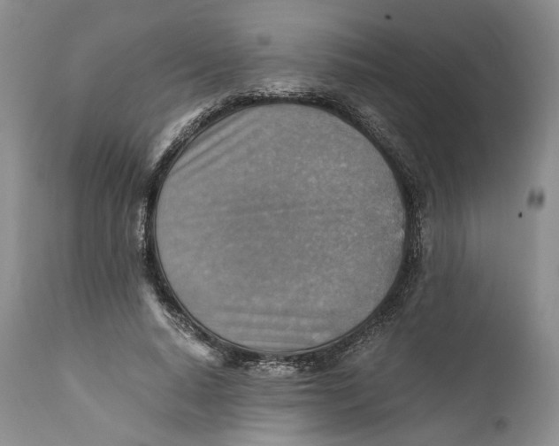 X0000110930640200907091521